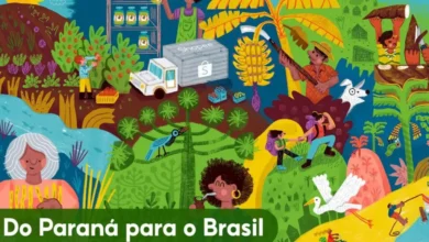 Fotos de Shopee lança seção exclusiva com produtos paranaenses