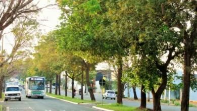 Fotos de Tempo continua estável e tarde deverá ser bastante quente no Paraná; veja os detalhes da previsão do tempo