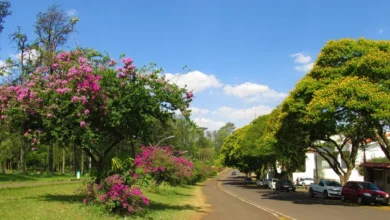 Fotos de Tempo se mantém estável nesta terça-feira no Paraná; Maringá terá maxima de 36ºC