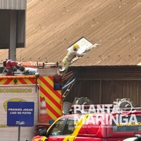 Trabalhador é soterrado por soja em cooperativa de Maringá; resgate já dura quase quatro horas Foto 1 Fotos de Trabalhador é soterrado por soja em cooperativa de Maringá; resgate já dura quase quatro horas