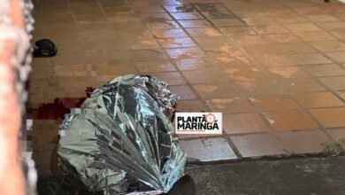 Fotos de Briga entre vizinhos supostamente por causa de gato termina em morte em Maringá