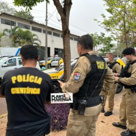 Fotos de Cadáver em estado de decomposição é achado seminu em Maringá