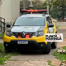 Fotos de Cadáver em estado de decomposição é achado seminu em Maringá