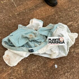 Fotos de Cadáver em estado de decomposição é achado seminu em Maringá