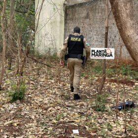 Fotos de Cadáver em estado de decomposição é achado seminu em Maringá