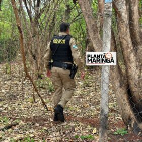 Fotos de Cadáver em estado de decomposição é achado seminu em Maringá