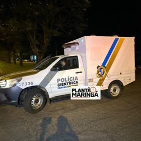Fotos de Carro avança preferencial e mata agrônoma em Maringá