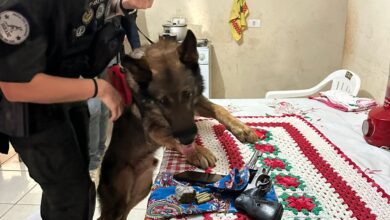 Fotos de Denarc e Deic prende em Sarandi suspeito de homicídio durante operação