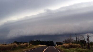 Fotos de Frente fria atinge o Paraná com rajadas de vento e alerta tempestades nos próximos dias; veja áreas em risco