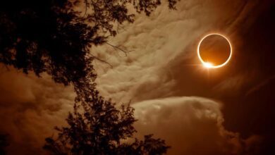 Fotos de Eclipse solar anular ocorrerá nesta quarta-feira; saiba como observar
