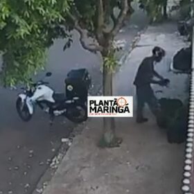 Fotos de Motociclista é filmado abandonado cãozinho em Sarandi 