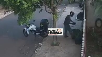 Fotos de Motociclista é filmado abandonado cãozinho em Sarandi 