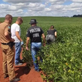 Fotos de Pai encontra filho de 13 anos morto no meio de plantação
