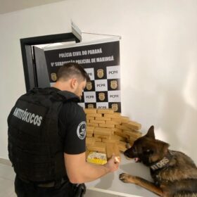 Fotos de Três pessoas são presas por tráfico em Mandaguaçu; droga abastecia traficantes de Maringá, diz polícia