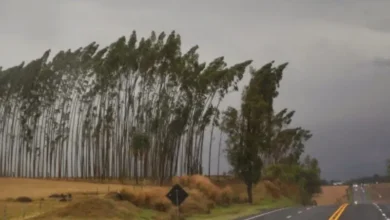 Fotos de 243 cidades do Paraná entram em alerta para vendaval; veja a lista