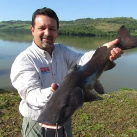 2,6 milhões de peixes nativos serão soltos no Paraná Foto 1 Fotos de 2,6 milhões de peixes nativos serão soltos no Paraná