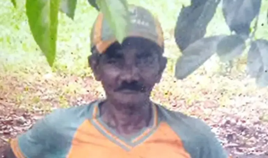 Agricultor de 72 anos morre após ser picado por cobra na região de Maringá Foto 1 Foto: Reprodução/ Blog do Berimbau.
