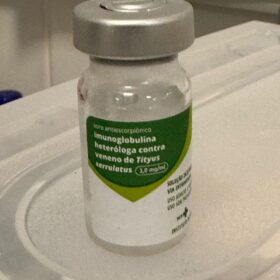 Bebê de um ano é intubada após ser picada por escorpião Foto 2 Fotos de Bebê de um ano é intubada após ser picada por escorpião