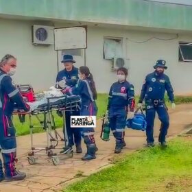 Bebê de um ano é intubada após ser picada por escorpião Foto 3 Fotos de Bebê de um ano é intubada após ser picada por escorpião