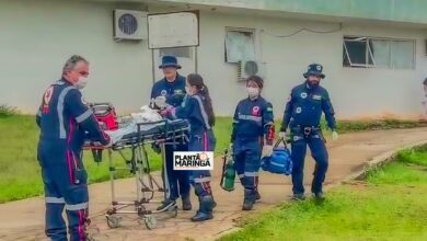 Fotos de Bebê de um ano é intubada após ser picada por escorpião