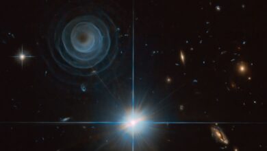 Fotos de Horóscopo: saiba o que esperar para o seu signo nesta segunda-feira, dia 11