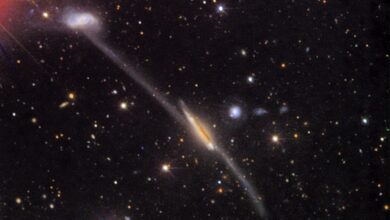 Fotos de Horóscopo: saiba quais são as previsões para o seu signo nesta sexta-feira, dia 8