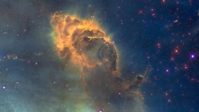 Fotos de Signos: confira seu horóscopo desta segunda-feira (18)