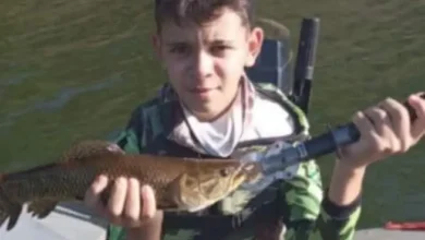 Fotos de Menino de 12 anos morre atropelado enquanto andava de bicicleta no Paraná