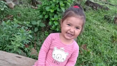 Fotos de ‘Queria estar com ela nos braços’, diz pai de menina de 2 anos levada por enxurrada no Paraná