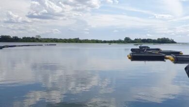 Fotos de Trabalhador morre afogado após barco transbordar em tanque de peixes do Rio Paranapanema no Paraná; vítima não sabia nadar