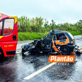 Acidente na PR-444 deixa homem em estado grave Foto 4 Fotos de Acidente na PR-444 deixa homem em estado grave