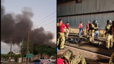 Fotos de Incêndio mobiliza bombeiros e brigadistas em cooperativa de Maringá