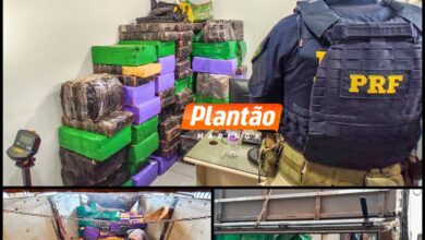 Fotos de PRF de Maringá apreende quase duas tonelada de maconha escondida em carreta na BR-376