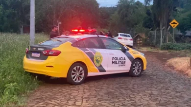 Fotos de Após furtar égua, homem é encontrado pelado com o animal dentro de cemitério no Paraná