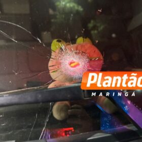 Fotos de Caminhoneiro é sequestrado e amarrado em cativeiro durante assalto BR-376