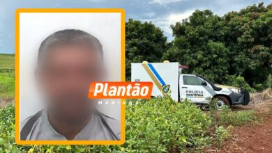Fotos de Corpo de homem encontrado em plantação de soja é identificado em Maringá