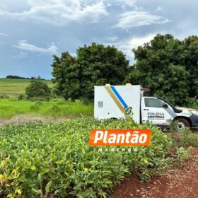 Fotos de Corpo de homem encontrado em plantação de soja é identificado em Maringá