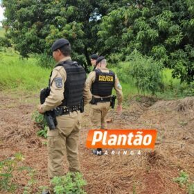 Fotos de Corpo de homem encontrado em plantação de soja é identificado em Maringá