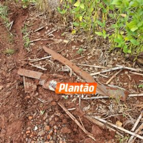 Fotos de Corpo de homem encontrado em plantação de soja é identificado em Maringá