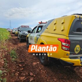 Fotos de Corpo de homem encontrado em plantação de soja é identificado em Maringá