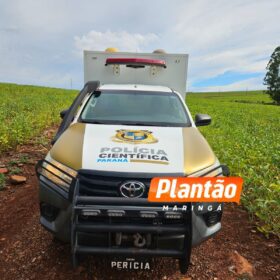 Fotos de Corpo de homem encontrado em plantação de soja é identificado em Maringá