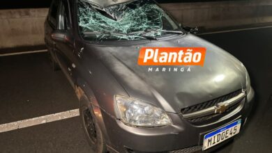 Fotos de Homem morre atropelado ao tentar atravessar a rodovia BR-376