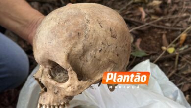 Fotos de Ossada humana é encontrada em área rural entre Mandaguari e Marialva