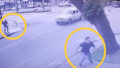 Fotos de Vídeo: Árvore de grande porte cai no centro de Maringá e quase esmaga duas pessoas