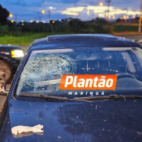 Motociclista sofre ferimentos graves em acidente na Avenida Carlos Borges, em Maringá Foto 1 Fotos de Motociclista sofre ferimentos graves em acidente na Avenida Carlos Borges, em Maringá