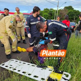 Fotos de Mulher é intubada após ser esfaqueada em meio uma mata em Maringá