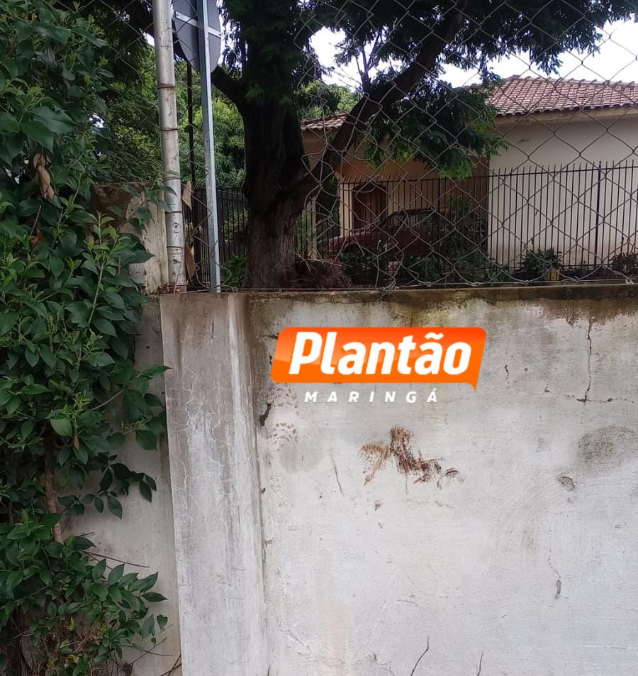 Quadrilha invade pátio da TCCC, arromba e furta 12 módulos de ônibus em Maringá Foto 1 Fotos de Quadrilha invade pátio da TCCC, arromba e furta 12 módulos de ônibus em Maringá