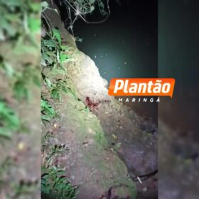 Adolescente de 14 anos é morto por amigo com seis facadas no pescoço e tem corpo jogado em córrego Foto 1 Fotos de Adolescente de 14 anos é morto por amigo com seis facadas no pescoço e tem corpo jogado em córrego