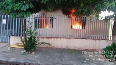 Fotos de Cães morrem carbonizados em incêndio em Sarandi; Com vídeo