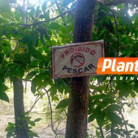 Fotos de Identificado o jovem encontrado morto em represa na região de Maringá